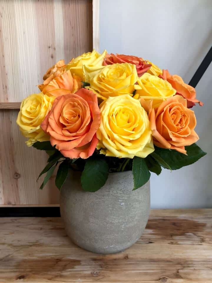 Bouquet of Roses