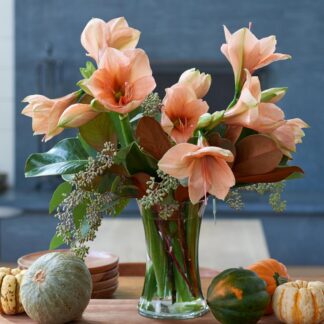 Bouquet d'Amaryllis et son feuillage