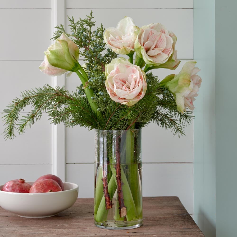 Bouquet d'Amaryllis et son feuillage